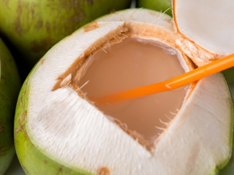 Kelapa Muda